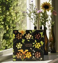 Заредете изображение във визуализатора на галерията – SPRING SELECTION BOX 2026 - BIG
